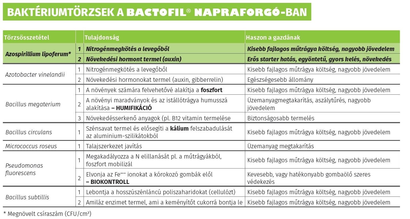 Talajbaktériumok - BactoFil Napraforgó